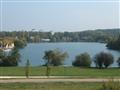 Immobilier - 